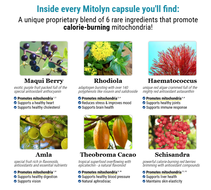 Mitolyn Ingredients