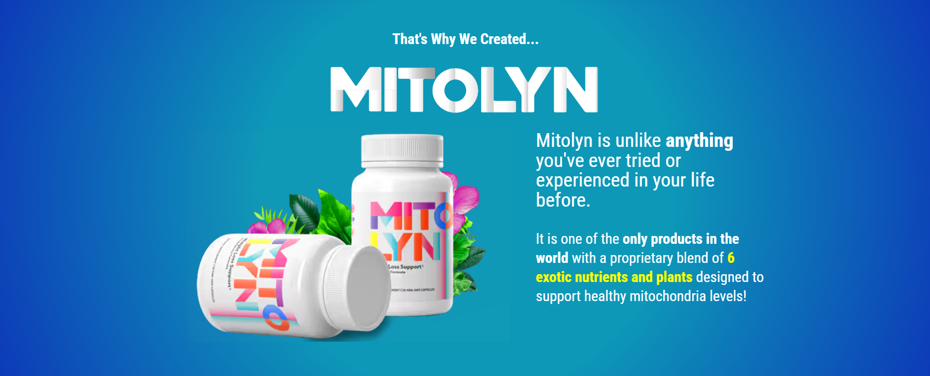 Mitolyn - exoct nutrients and plants